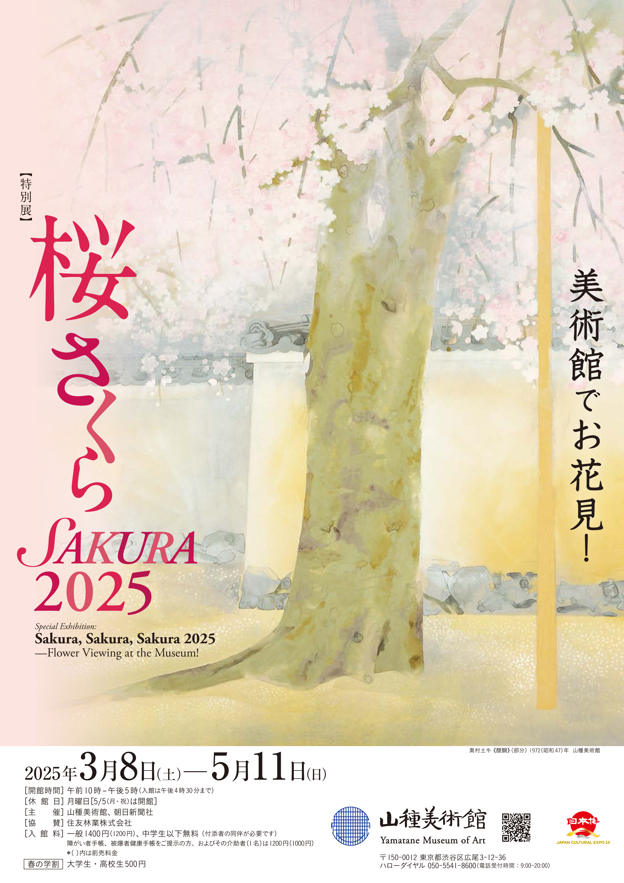 【特別展】桜 さくら SAKURA 2025 ―美術館でお花見！―