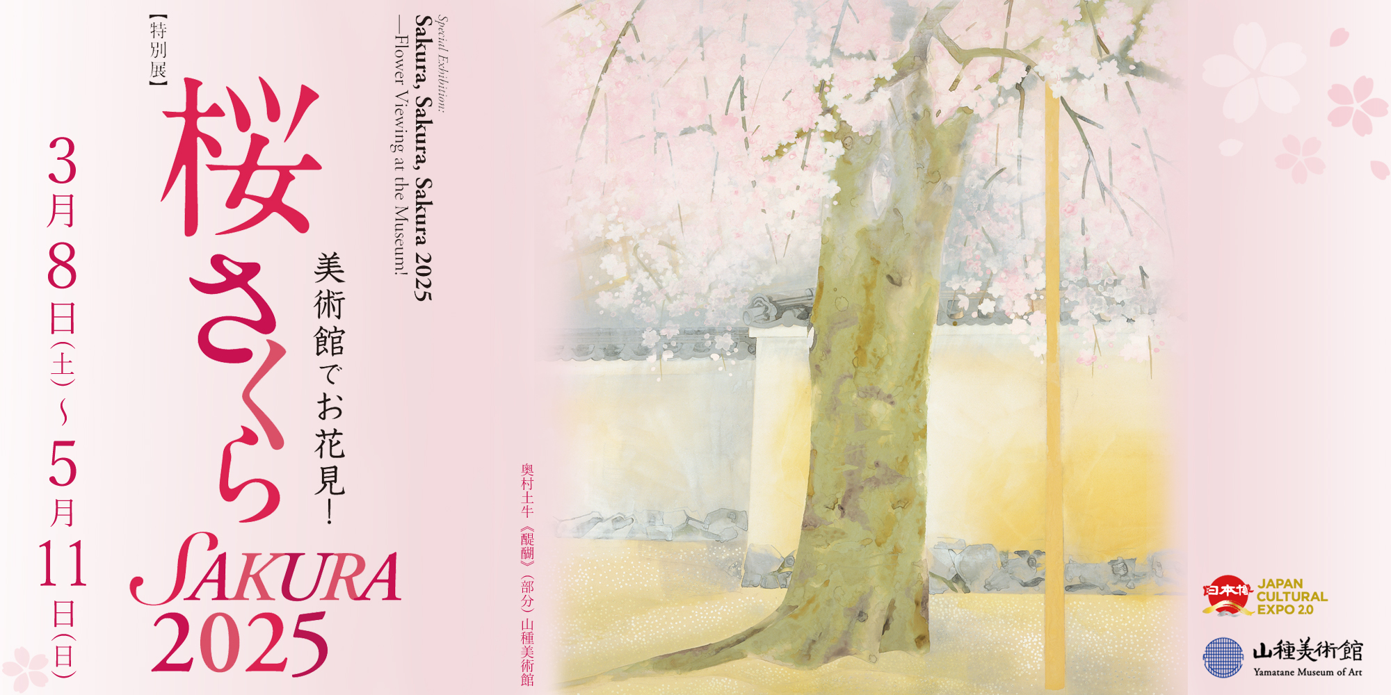 【特別展】桜 さくら SAKURA 2025 ―美術館でお花見！―